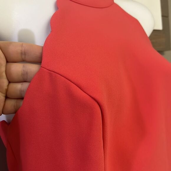 bebe Coral Sleeveless Scalloped Detail Flare Dress w/ High Neck & Pleats- Size 4 - Picture 5 of 16